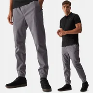Spodnie męskie - SPODNIE MĘSKIE 4F CASUAL JOGGERY L TTROM0944 AW24 - miniaturka - grafika 1