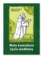 Religia i religioznawstwo - Mały katechizm życia modlitwy - miniaturka - grafika 1