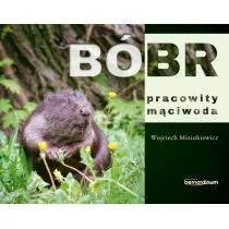 Bóbr pracowity mąciwoda - Misiukiewicz Wojciech - Diety, zdrowe żywienie - miniaturka - grafika 1