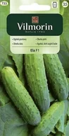Nasiona i cebule - NASIONA WARZYWA DO OGRÓDKA OGÓREK ELA 5G VILMORIN - miniaturka - grafika 1