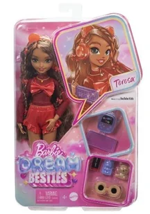 Barbie Dream Besties Malibu Lalka i akcesoria - Lalki dla dziewczynek - miniaturka - grafika 1