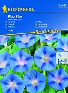 Wilec Blue Star – Kiepenkerl - Nasiona i cebule - miniaturka - grafika 1