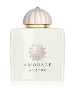 Amouage Odyssey Ashore Woda perfumowana 100 ml - Wody i perfumy męskie - miniaturka - grafika 1