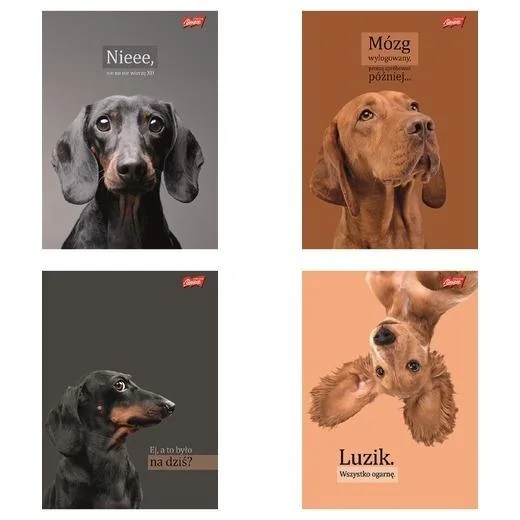 Zeszyt A5 linia 60 kartek Doggy Moods 10 sztuk