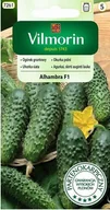 Nasiona i cebule - Ogórek gruntowy Alhambra F1 3 g VILMORIN - miniaturka - grafika 1
