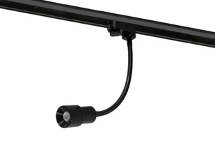 Azzardo LUMI AZ4559 reflektor szynowy 1x5W/LED IP20 400lm AZ4559 - Lampy pozostałe - miniaturka - grafika 1