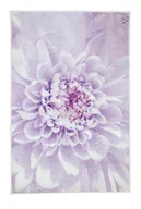 Dywaniki łazienkowe - Kleine Wolke Dahlia Dywanik Łazienkowy Lavender Fioletowy 70X120 Cm - miniaturka - grafika 1