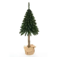 Choinki - Świerk na pniu 210 cm  zielony - miniaturka - grafika 1