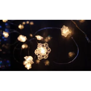 Lampki 10 LED ciepły biały na baterie mix wzorów Cortina - Oświetlenie świąteczne - miniaturka - grafika 1