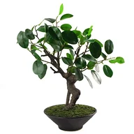 Sztuczne drzewka - Leaf Sztuczne drzewo, mieszane materiały, Ficus Bonsai Natural, 40 cm - miniaturka - grafika 1