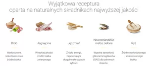 JOSERA Optiness 5x900g - Sucha karma dla psów - miniaturka - grafika 3