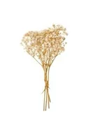 Zabawki kreatywne - Gipsówka 4 gałązki ok. 20cm natural - miniaturka - grafika 1