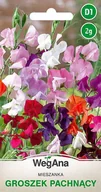 Nasiona i cebule - Groszek Pachnący pnący mieszanka kolorów 2g nasiona - WegAna - miniaturka - grafika 1