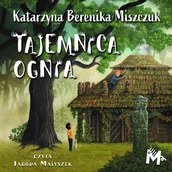 Audiobooki dla dzieci i młodzieży - Tajemnica ognia - miniaturka - grafika 1