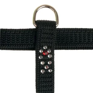 Szelki dla kota "Night Fish" 10 mm czarny ZOLUX - Szelki dla kotów - miniaturka - grafika 1