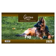 Kalendarze - Kalendarz Biurkowy 2025 - STOJĄCY GALILEO - PSY - miniaturka - grafika 1