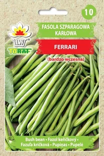 Fasola szp. karł. zielonostr. FERRARI (wczesna) NEW Phaseolus vulgaris L. - Nasiona i cebule - miniaturka - grafika 1