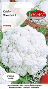 Nasiona Kalafior Snowball X 1g - Torseed - Nasiona i cebule - miniaturka - grafika 1
