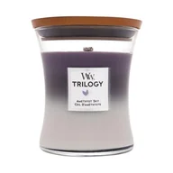 Świece - WoodWick Świeca zapachowa Trilogy Amethyst Sky - miniaturka - grafika 1