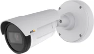 Kamery do monitoringu - Axis P1405-E Kula (kształt) Kamera bezpieczeństwa IP Zewnętrzna 1920 x 1080 px Sufit / Ściana - miniaturka - grafika 1