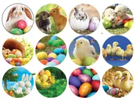 Ciasta i półprodukty do ciast - Opłatki na muffiny babeczki Wielkanocne - miniaturka - grafika 1