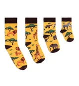 Skarpetki dla dzieci - Skarpetki Kenia dla całej rodziny 14-19 - FAVES. Socks&Friends - miniaturka - grafika 1