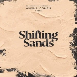 Shifting Sands - Winyle - miniaturka - grafika 1