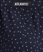 Majtki męskie - SLIPY ATLANTIC 3MP-166 WL24 (kolor szary, rozmiar M) - miniaturka - grafika 1