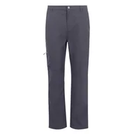 Spodnie męskie - Regatta Męskie Spodnie Dalry Multi Pocket Szary, Rozmiar: 34 - miniaturka - grafika 1