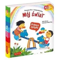 Książki edukacyjne - Harperkids Akademia mądrego dziecka. Pierwsze zagadki. Mój świat S&amp;S Alliance, Qing Feng - miniaturka - grafika 1