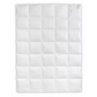 Kołdry - AMZ Szamotuły Kołdra Puchowa 200x200 Dream Letnia Puch 90% 07D2-8651E - miniaturka - grafika 1
