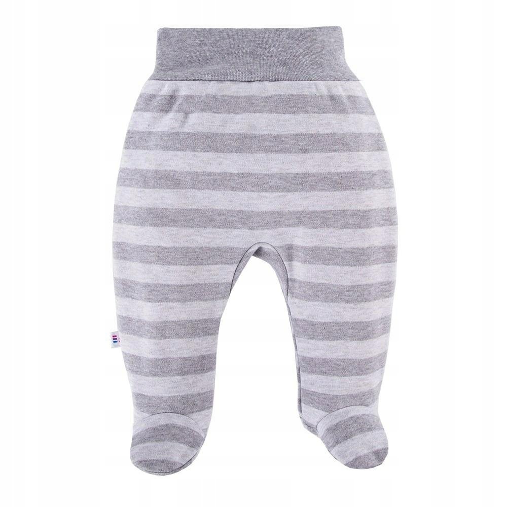 EEVI półśpioch ANCYMON 68 szare