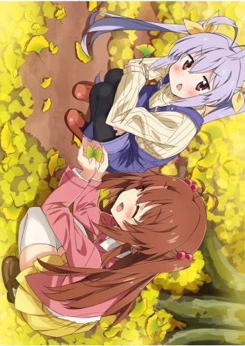 Plakat Anime Non non biyori NNB_023 A1+ (custom)