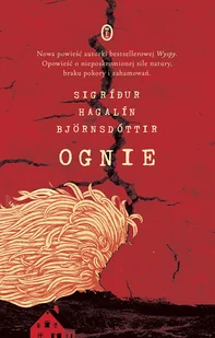 Ognie Miłość i inne katastrofy - Literatura obyczajowa - miniaturka - grafika 3