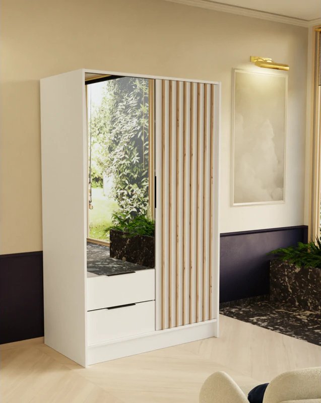 Szafa z drzwiami skrzydłowymi ORE, 2-drzwiowa szafa z 2 szufladami i lustrem, Nowoczesna szafa, Wymiary szafy: 102 x 200 x 51 cm