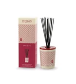Zapachy do domu - Esteban Paris Perfums Esteban Paris Perfums 100ml Esprit De The Diffuser Pałeczki zapachowe 100ml - miniaturka - grafika 1