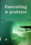 Biznes - Controlling w praktyce - miniaturka - grafika 1