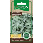 Nasiona i cebule - Nasiona szałwia lekarska 1 g BIOPON - miniaturka - grafika 1