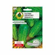 Nasiona i cebule - Pnos Ogórek Gruntowy Śremski F1 6 m - miniaturka - grafika 1