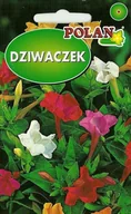 Nasiona i cebule - Dziwaczek Mieszanka 5 g POLAN - miniaturka - grafika 1