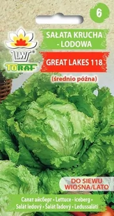 Sałata lodowa Great Lakes 118 nasiona warzyw 2g TORAF - Nasiona i cebule - miniaturka - grafika 1