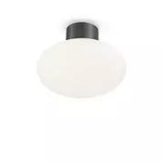 Lampy sufitowe - Ideal Lux Podstawa plafonu CLIO MPL1 IP44 antracyt 148861 148861/IL - miniaturka - grafika 1