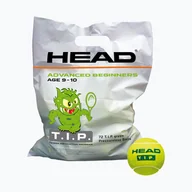 Tenis ziemny - Piłki tenisowe dziecięce HEAD 72B Tip Green 72 szt. green - miniaturka - grafika 1