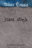 Poezja - Szara strefa - miniaturka - grafika 1