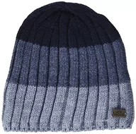 Czapki męskie - CHILLOUTS Czapka męska Achim Hat Beanie, niebieska, rozmiar uniwersalny - miniaturka - grafika 1