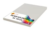 Szkolne artykuły papiernicze - Papier kolorowy A4 80g szary 100 arkuszy - miniaturka - grafika 1