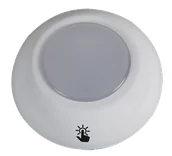 Lampy pozostałe - Lampka dekoracyjna podszafkowa Led RGB z pilotem 0,5W Goldlux - miniaturka - grafika 1