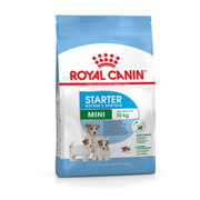 Sucha karma dla psów - Royal Canin Mini Starter Mother&Babydog 1 kg - miniaturka - grafika 1