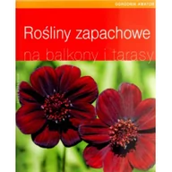 Dom i ogród - Rośliny zapachowe na balkony i tarasy - miniaturka - grafika 1