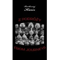 Z podróży From Journeys - Poezja - miniaturka - grafika 1